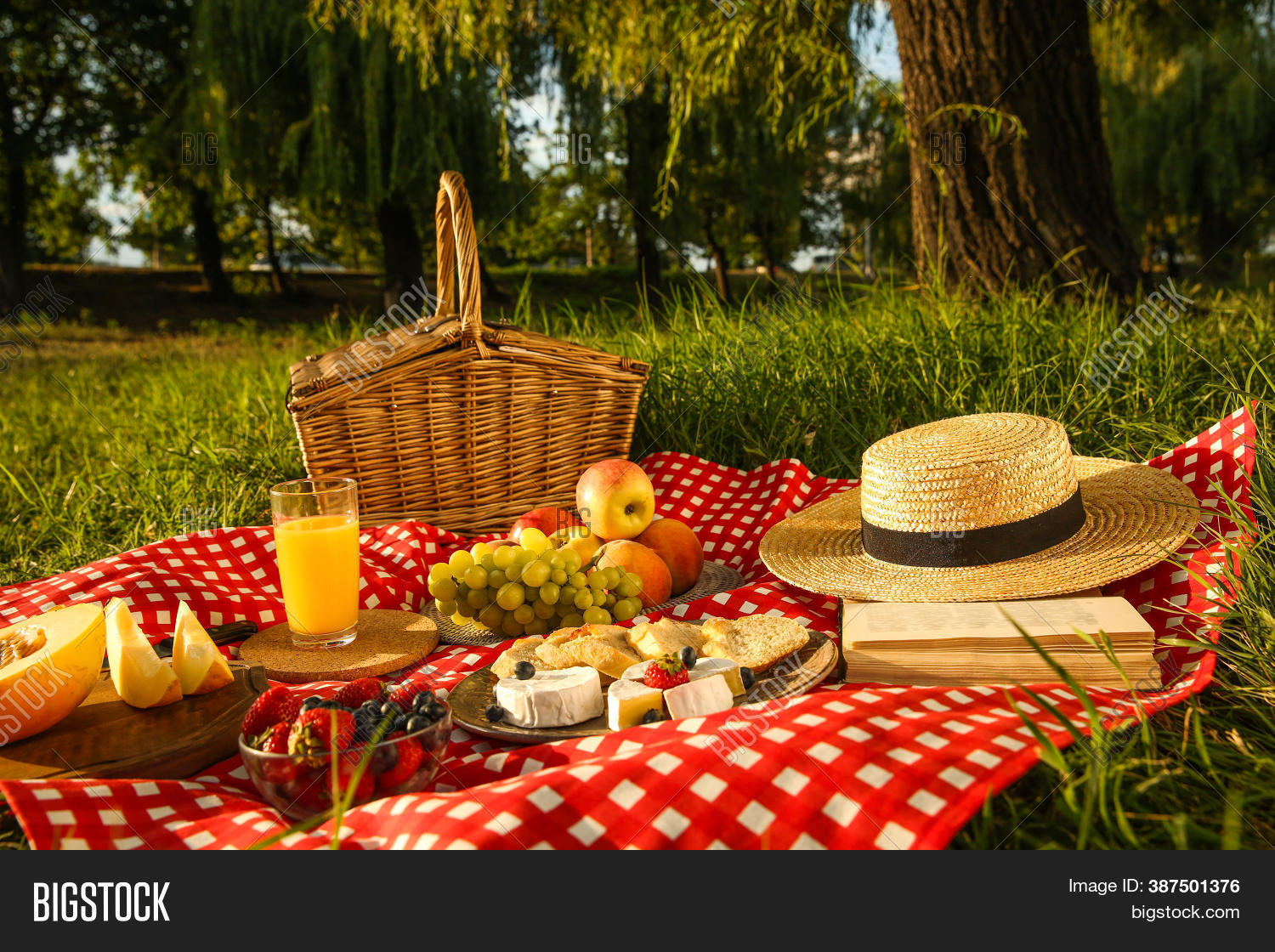 Picnic Blanket Image & Photo (Free Trial) Bigstock