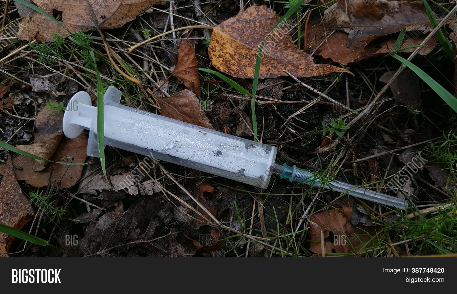 Syringe Drugs Forest. Image & Photo (Free Trial) Bigstock