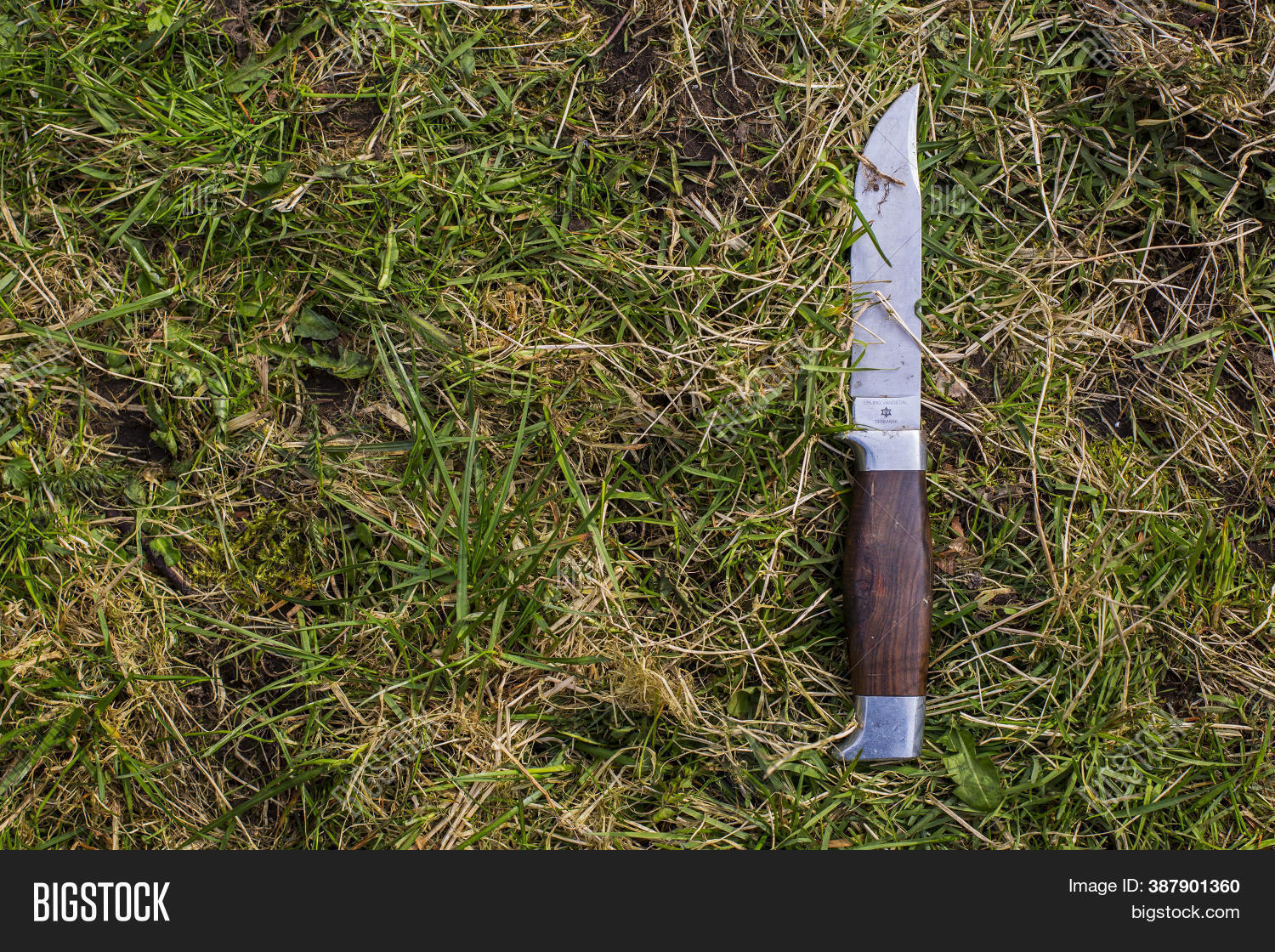 Vintage Camping Knife Image & Photo (Free Trial) Bigstock