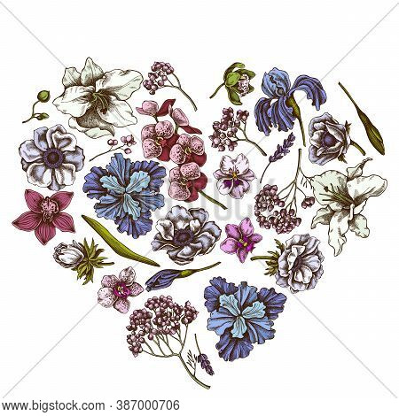 Heart Floral Design With Colored Anemone, Lavender, Rosemary Everlasting, Phalaenopsis, Lily, Iris S