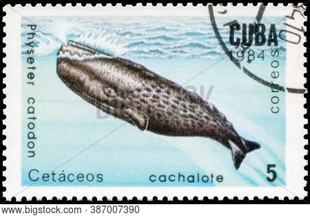Saint Petersburg, Russia - September 18, 2020: Postage Stamp Issued In The Cuba The Image Of The Spe