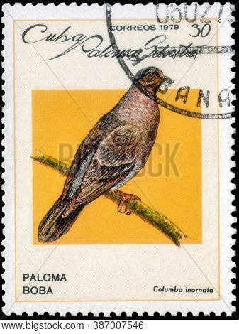 Saint Petersburg, Russia - September 18, 2020: Postage Stamp Issued In The Cuba The Image Of The Pla