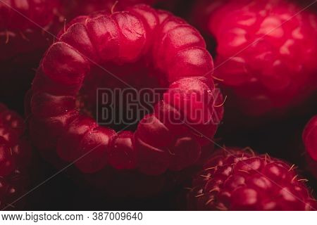 Macro Close Up Portrait Of Raspberry Fruit Details, Selective Focus