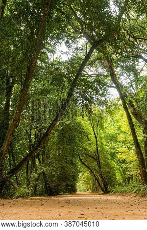 Woods Of Rainha D. Leonor , In Caldas Da Rainha - Portugal, Borders The Parque D. Carlos I And Is Ch