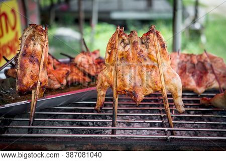 Hot Chickens Plugged With Bamboo, Thai Local Food And Traditional Food Thailand Your Can Buy Ever Si