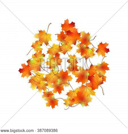 Round Pattern Bright Colorful Maple Autumn Foliage With Shadow Isolated On White. Graphic Design Aut
