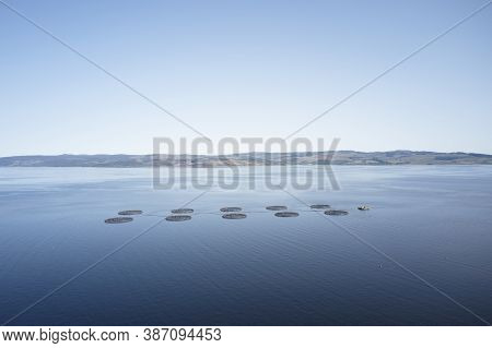 Fish Farm Salmon Round Nets In Natural Environment Loch Fyne Arygll And Bute Scotland