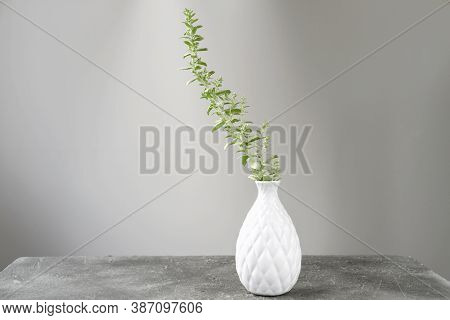 Minimal Style Interior Decor. Green Grass Branch In A White Vase. Hipster Home Deroration. Unclutter