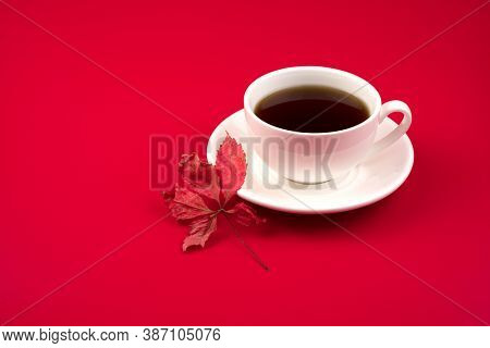 Phyto-teas In A White Cup On A Red Background With Autumn Leaves.