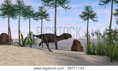 Runnig Cerantosaurus in Araukarien Baum Hain