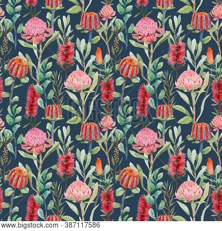 Beautiful Vector Seamless Floral Pattern With Watercolor Summer Protea And Australian Banksia Flower