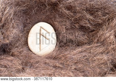 Ansuz Nordic Stone Rune On Animal Fur. Letter Aesc Of The Viking Alphabet.