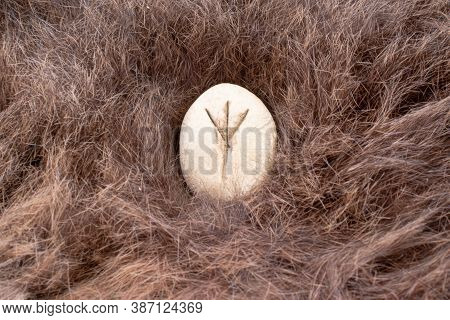 Algiz Nordic Stone Rune On Animal Fur. Letter Eolh Of The Viking Alphabet.