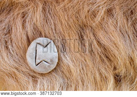 Perth Nordic Stone Rune On Animal Fur. Letter Peoro Of The Viking Alphabet.