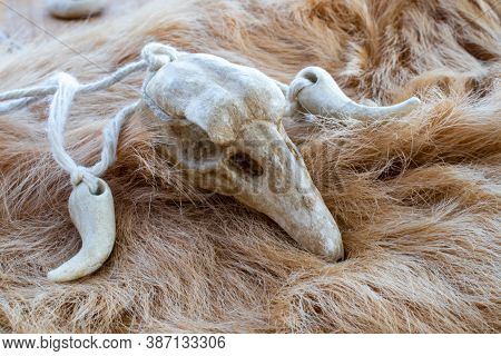 Bird Skull On A Animal Fur. Necklace For Rituals Of A Druid Or Magician.