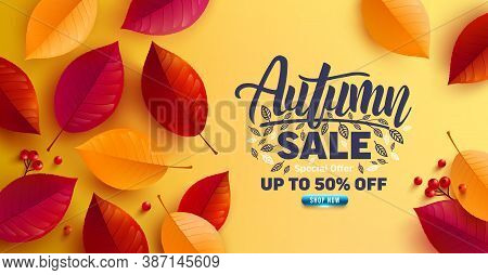 Autumn Sale Poster And Banner Template With Autumn Colorful Leaves On Yellow Background.greetings An