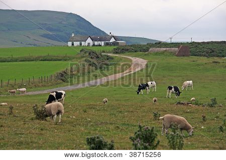 Cumbria