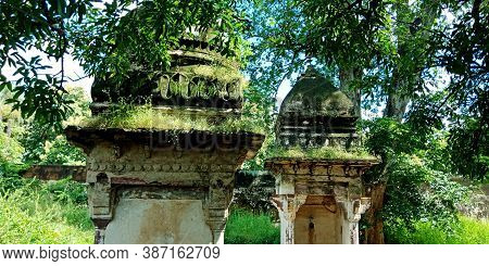 District Katni, India - October 10, 2019: Green Plant Growing View At Ancient Fort In Vijayraghavgar