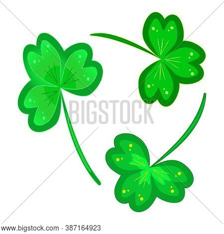 Clover Isolated On White Background. Lucky Three Leaf Clovers Or Shamrocks Set Icon For St Patricks 
