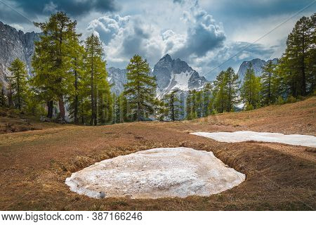 Beautiful Alpine Autumn Scenery With Larch Forest And Stunning Snowy Mountains, Near Kranjska Gora, 