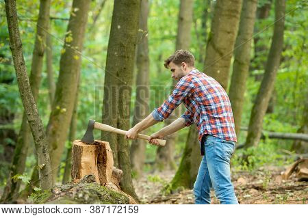 Just One Hit. Chopping And Splitting Firewood With Axe. Lumber Worker In Wood. Spend Picnic Weekend 