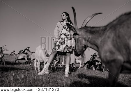 Handsome Female Shepherdess Stands In A Pasture Among A Herd Of Goats. Black And White Image.
