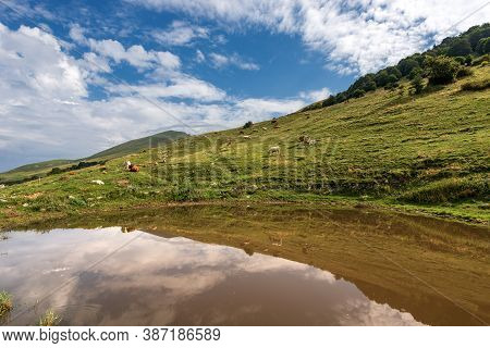Monte Baldo (baldo Mountain). Green Pastures In Italian Alps With Cows And A Small Pond At Summer. V