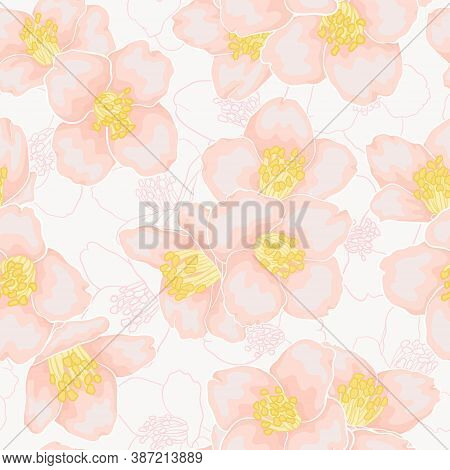 Semless Pattern Branch Pink Chamomile Graphic Watercolour Style Retro Background. Hand-draw Branch C