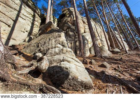 Mastale Rockies Or Toulovcovy Mastale Rock City Near Prosec Town, Sandstone Rockies In Czech Republi