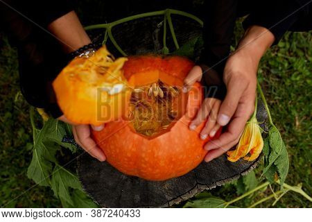 Daughter And Father Hands Open, Cut Pumpkin For Halloween, Prepares Jack Olantern