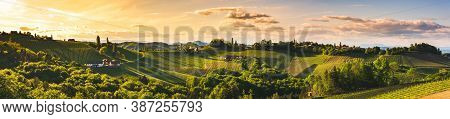 Vineyards Panorama In South Styria, Summer Season. Austria Tuscany Like Spot.
