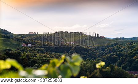 Vineyards In South Styria, Beginning Of Autumn. Austria Tuscany Like Spot.