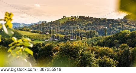 Vineyards In South Styria, Beginning Of Autumn. Austria Tuscany Like Spot.