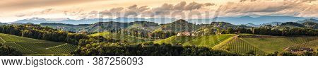 Vineyards Panorama In South Styria, Beginning Of Autumn. Austria Tuscany Like Spot.