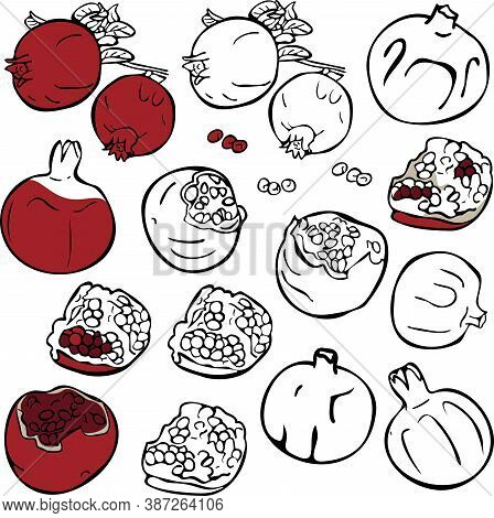 Vector Set Of Different Pomegranates Isolated. Ripe, Sliced And Silhouettes Pomegranates. Concept Fo