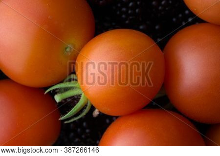 8 - Red Cherry Plum Tomatoes Stand Out From A Dark Blackberry Background, A Selection Of Two Types O
