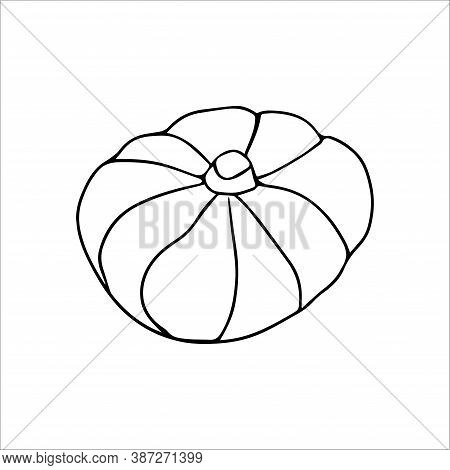 Vector Hand Drawn Doodle Pumpkin Icon. Doodle Style Graphic Elements