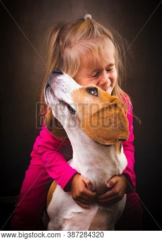 2 Yeras Old Child Hugging Best Friend Dog. Happy Childhood With Pet Beagle. Dog Background