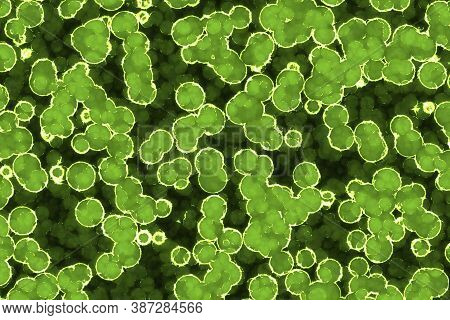 Nice Creative Huge Amount Of Bio Cells Digital Art Texture Illustration