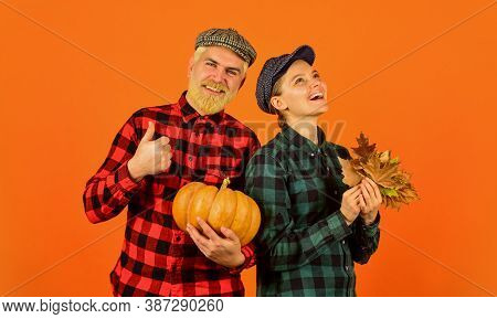 Farmer Family Concept. Autumn Harvesting Works. Couple In Love Checkered Rustic Outfit. Retro Style.
