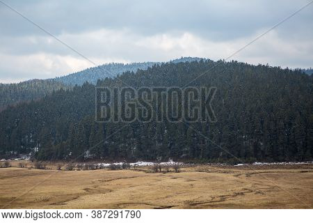 Valley In Potatso National Park In China, Near Tibet