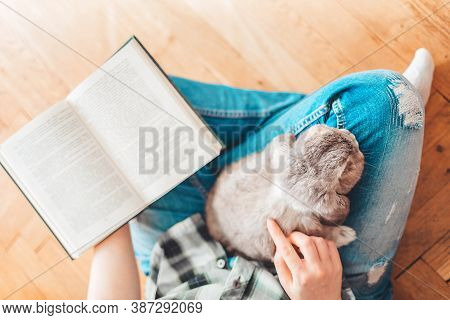 A Woman Is Sitting On The Floor, Holding A Rabbit On Her Lap And Reading A Book. View From The Top. 