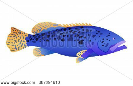 Decorative Sea Or Aquarium Fish On White Background. Freshwater Or Saldwater Aquarium Cartoon Fish. 