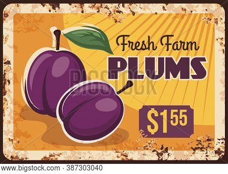 Plums Rusty Metal Plate, Fruits Food Farm Market Price Menu, Vector Vintage Poster. Natural Organic 