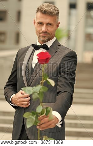 His Look Very Fashion-forward. Groom In Costume And Bow-tie. Man Give You Rose. Reason To Give Red R