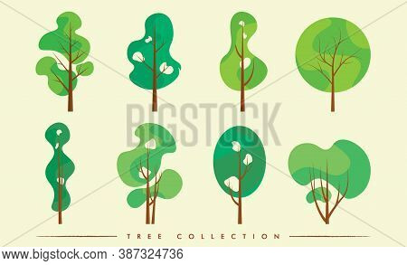 Beautiful Evergreen Tropical Tree Collection Vector Eps