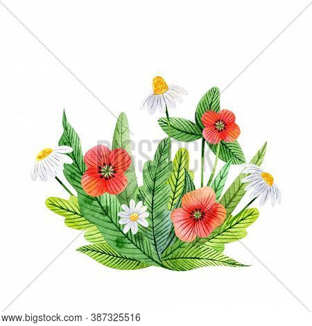 Watercolor Flower Composition With Wildflowers And Leaves. Bouquet Of сhamomiles, Poppies, Yellow Fl
