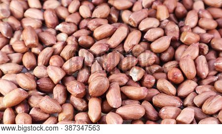 Heap Of Raw Peanuts. Cultivated Peanuts, Underground Or Groundnuts. Plant Of The Legume Family. Agri