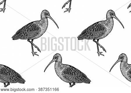 Cute Birdies Ibises In Profile. Seamless Pattern. Black Graphics On A White Background. Vector Illus
