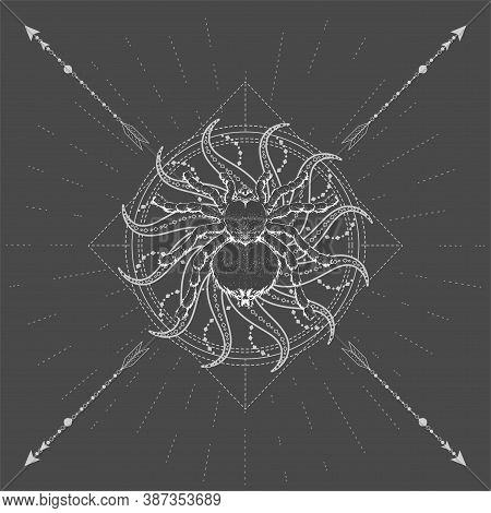 Vector Illustration With Hand Drawn Spider Tarantula And Symbol Sun On Black Background. Abstract My